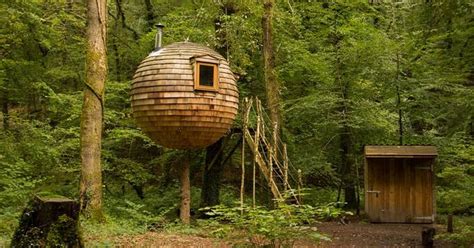 Unique and Whimsical: Exploring Spain's Magic Tree House Accommodation